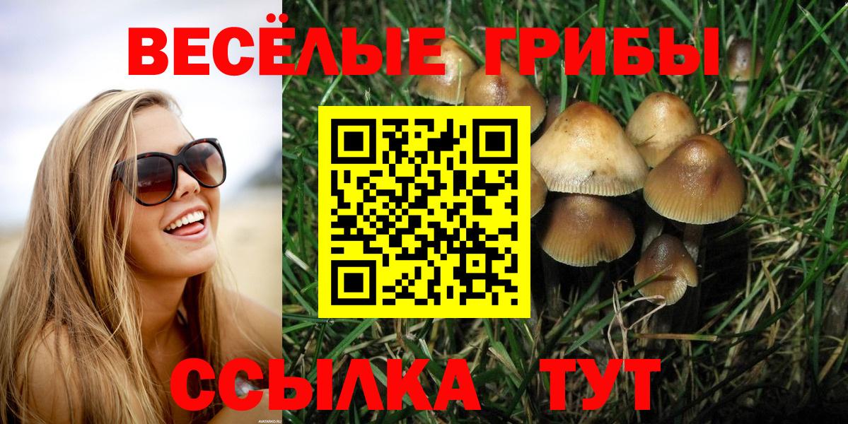 Псилоцибиновые грибы Magic Shrooms Губкинский